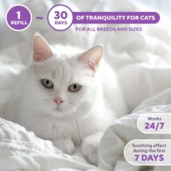 Relaxivet Calming Diffuser Kit & Anti Anxiety Cat Diffuser, 1.5-oz Bottle -Pawfect Care 807510 PT4. AC SS1800 V1680192478