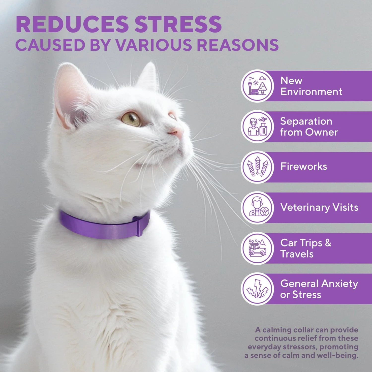 Relaxivet Calming Collar & Anti Anxiety Products Cat Collar 5 Relaxivet Calming Collar & Anti Anxiety Products Cat Collar - Image 3