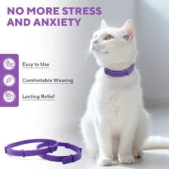 Relaxivet Calming Collar & Anti Anxiety Products Cat Collar 12 Relaxivet Calming Collar & Anti Anxiety Products Cat Collar -Pawfect Care 807542 PT5. AC SS1800 V1680192308