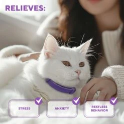 Relaxivet Calming Collar & Anti Anxiety Products Cat Collar, 2 Count -Pawfect Care 807558 PT2. AC SS1800 V1680192478