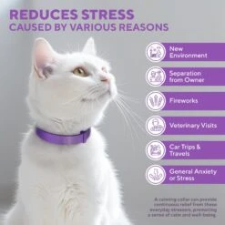 Relaxivet Calming Collar & Anti Anxiety Products Cat Collar, 2 Count -Pawfect Care 807558 PT3. AC SS1800 V1680192478