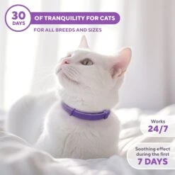 Relaxivet Calming Collar & Anti Anxiety Products Cat Collar, 2 Count -Pawfect Care 807558 PT4. AC SS1800 V1680192310