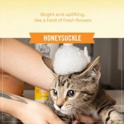 Skout's Honor Probiotic Honeysuckle Cat Shampoo & Conditioner, 16-oz Bottle -Pawfect Care 808150 PT5. AC SS1800 V1680192539