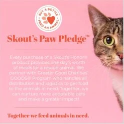 Skout's Honor Probiotic Honeysuckle Cat Shampoo & Conditioner, 16-oz Bottle -Pawfect Care 808150 PT7. AC SS1800 V1680289997