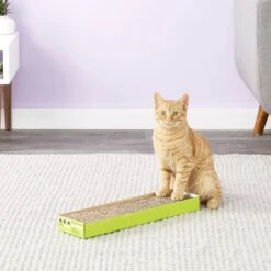 Van Ness Cat Scratcher Pad Toy With Catnip -Pawfect Care 81558 PT6. AC SS1800 V1527271634