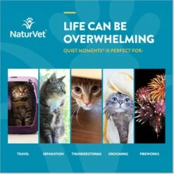 NaturVet Scoopables Quiet Moments Calming Aid Cat Supplement, 5.5-oz Bag -Pawfect Care 825198 PT5. AC SS1800 V1682004017