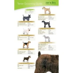 Andis UltraEdge Detachable Blade & Andis UltraEdge Detachable Blade -Pawfect Care 826390 PT4. AC SS1800 V1681331700