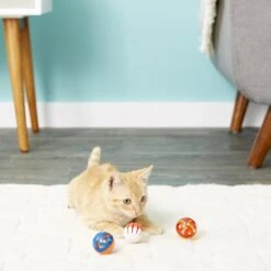 Hartz Just For Cats Bizzy Balls Cat Toy -Pawfect Care 82852 PT2. AC SS1800 V1589229079