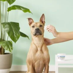 Miracle Care Sterile Eye Wash Pads For Dogs & Cats -Pawfect Care 83721 PT3. AC SS1800 V1543359780