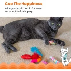 Catstages Kitty Sweet Treats Plush Catnip Cat Toys, Multicolor, 6 Count -Pawfect Care 837462 PT3. AC SS1800 V1681836212