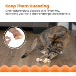 Catstages Purrsecco & Cupcakes Plush Interactive Catnip Cat Toy, Multicolor, 6 Count -Pawfect Care 837494 PT1. AC SS1800 V1681834956