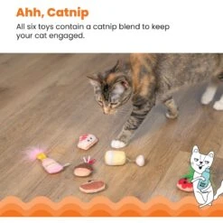 Catstages Purrsecco & Cupcakes Plush Interactive Catnip Cat Toy, Multicolor, 6 Count -Pawfect Care 837494 PT3. AC SS1800 V1681836201