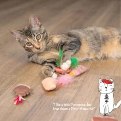 Catstages Purrsecco & Cupcakes Plush Interactive Catnip Cat Toy, Multicolor, 6 Count -Pawfect Care 837494 PT5. AC SS1800 V1681834947