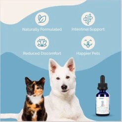 Prana Pets Intestinal Defense Dewormer Medicine For Dogs & Cats, 2-oz Bottle -Pawfect Care 839374 PT5. AC SS1800 V1693243297