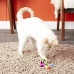 Fat Cat Classic Springy Worms Cat Toy, Color Varies 9 Fat Cat Classic Springy Worms Cat Toy, Color Varies -Pawfect Care 83987 PT5. AC SS1800 V1527256580