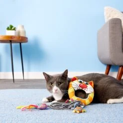 Fat Cat Catfisher Kitty Hoots Doorknob Hanger Cat Toy, Color Varies -Pawfect Care 83991 PT5. AC SS1800 V1525717824