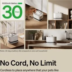 Petlibro Dockstream Battery Operated Cat Water Fountain -Pawfect Care 842454 PT3. AC SS1800 V1684348306