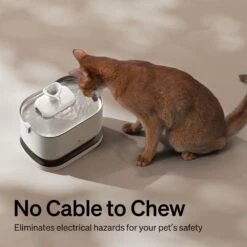 Petlibro Dockstream Battery Operated Cat Water Fountain -Pawfect Care 842454 PT6. AC SS1800 V1684348365