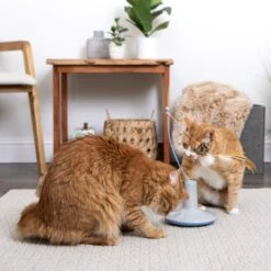 SmartyKat Instincts Wild Wand Electronic Motion Cat Toy -Pawfect Care 847078 PT6. AC SS1800 V1683730259