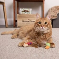 SmartyKat Instincts Love Mates Feathery Plush HappyNip Silvervine & Catnip Bird Cat Toys, 2-pack -Pawfect Care 847110 PT2. AC SS1800 V1683729344