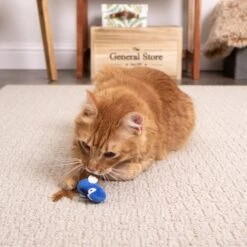 SmartyKat Instincts Chatty Chirp Plush HappyNip Silvervine & Catnip Bird Electronic Sound Cat Toy -Pawfect Care 847126 PT2. AC SS1800 V1683729178