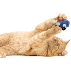 SmartyKat Instincts Chatty Chirp Plush HappyNip Silvervine & Catnip Bird Electronic Sound Cat Toy -Pawfect Care 847126 PT3. AC SS1800 V1683729377