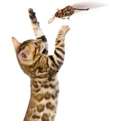 SmartyKat Instincts Safari Sneakers HappyNip Silvervine & Catnip Plush Cat Toys & Launcher Cat Toy, 3-pack & 1 Count -Pawfect Care 847206 PT5. AC SS1800 V1683728375