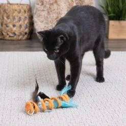SmartyKat Instincts Crazy Coil Springy Cat Toy With Fringe & Detachable Feather Cat Toy -Pawfect Care 847222 PT2. AC SS1800 V1683728652