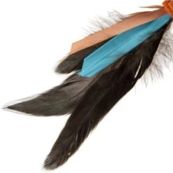 SmartyKat Instincts Crazy Coil Springy Cat Toy With Fringe & Detachable Feather Cat Toy -Pawfect Care 847222 PT3. AC SS1800 V1683729199