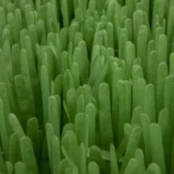 SmartyKat Instincts Meadow Mayhem Paper Grass Hide & Seek Cat Toy, 2-pack -Pawfect Care 847238 PT6. AC SS1800 V1683728572