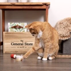 SmartyKat Instincts Sneaky Spinner USB Rechargeable Teaser Electronic Motion Cat Toy -Pawfect Care 847302 PT2. AC SS1800 V1683729376