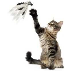 SmartyKat Instincts Zingy Zebra Feathered Toss & Chase With HappyNip Silvervine & Catnip Cat Toy -Pawfect Care 847318 PT6. AC SS1800 V1683728585