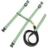 Up Country Tropical Fish Cat Harnes Set, Teal & Black -Pawfect Care 853302 MAIN. AC SS1800 V1685463099