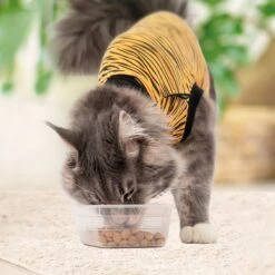 Suitical Recovery Suit Cat Apparel, Tiger Print 13 Suitical Recovery Suit Cat Apparel, Tiger Print -Pawfect Care 855286 PT2. AC SS1800 V1686669896