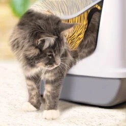 Suitical Recovery Suit Cat Apparel, Tiger Print 14 Suitical Recovery Suit Cat Apparel, Tiger Print -Pawfect Care 855286 PT3. AC SS1800 V1686669837