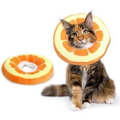 CoCoo Adjustable Cat Recovery Cone, Orange