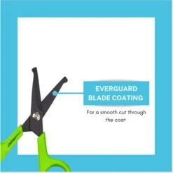 ConairPROPET Rounded-Tip Shears Cat & Dog Grooming Tool, 4-in, Green -Pawfect Care 866422 PT2. AC SS1800 V1688391380