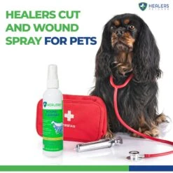 Healers Wound Cleanser Dog & Cat Treatment -Pawfect Care 867902 PT4. AC SS1800 V1685650856