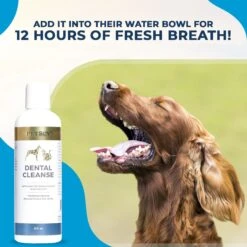 PetScy Dental Cleanse Dog & Cat Tartar Remover, 8-oz Bottle -Pawfect Care 871526 PT3. AC SS1800 V1689275858