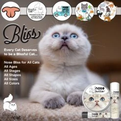The Blissful Dog Cat Nose Cream, 2-oz Tin -Pawfect Care 879686 PT3. AC SS1800 V1689280308