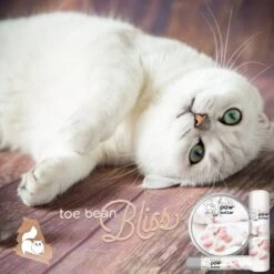 The Blissful Dog Cat Paw Cream, 1-oz Tin -Pawfect Care 879734 PT2. AC SS1800 V1689280811