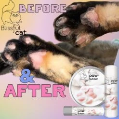 The Blissful Dog Cat Paw Cream, 1-oz Tin -Pawfect Care 879734 PT6. AC SS1800 V1689280870
