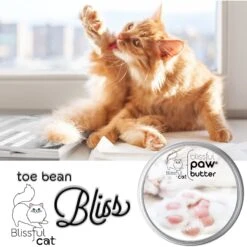 The Blissful Dog Cat Paw Cream, 1-oz Tin -Pawfect Care 879734 PT7. AC SS1800 V1689280316