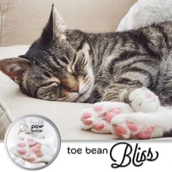 The Blissful Dog Cat Paw Cream, 2-oz Tin -Pawfect Care 879750 PT1. AC SS1800 V1689280818