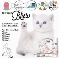 The Blissful Dog Cat Paw Cream, 2-oz Tin -Pawfect Care 879750 PT2. AC SS1800 V1689280758