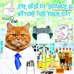 The Blissful Dog Cat Paw Cream, 2-oz Tin -Pawfect Care 879750 PT3. AC SS1800 V1689280742