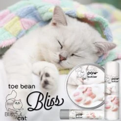 The Blissful Dog Cat Paw Cream, 2-oz Tin -Pawfect Care 879750 PT6. AC SS1800 V1689280308