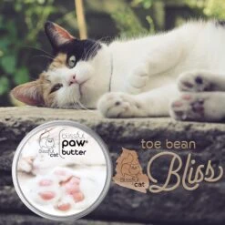 The Blissful Dog Cat Paw Cream, 2-oz Tin -Pawfect Care 879750 PT7. AC SS1800 V1689280757
