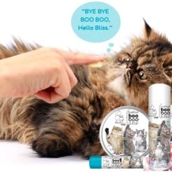 The Blissful Dog Boo Boo Cat Paw Cream, 2-oz Tin -Pawfect Care 879814 PT2. AC SS1800 V1689280309