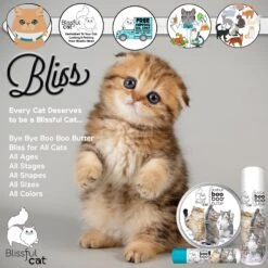 The Blissful Dog Boo Boo Cat Paw Cream, 2-oz Tin -Pawfect Care 879814 PT3. AC SS1800 V1689280821